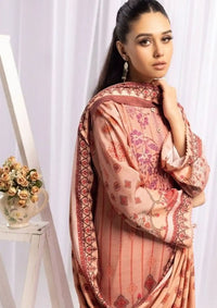 mohsin-saeed-fabrics-designer-daily-wear-formal-and-wedding-suits-within-budget-This-product-is-from-rang-brang-by-nur25-rb-206-is-available-on-Mohsin-saeed-fabrics-website.