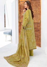 Saira Bano By Humdam'24 D-04 - Mohsin Saeed Fabrics
