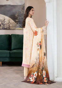 Johra Lisha Winter'25 JW-419