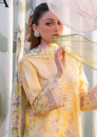 mohsin-saeed-fabrics-luxury-fashion-collection-daily-wear-wedding-and-formal-in-budget-This-product-is-from-aabyaan-shezlin-chikankari-ramadan-edit25-ar-02-nisa-is-available-on-Mohsin-saeed-fabrics-website.