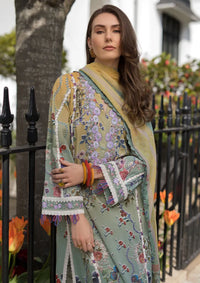 mohsin-saeed-fabrics-luxury-fashion-collection-daily-wear-wedding-and-formal-in-budget-This-product-is-from-sobia-nazir-sn-basics-printed-lawn25-d-02b-is-available-on-Mohsin-saeed-fabrics-website.