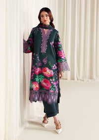 Naqsh Zyrah Fall Winter'25 ZINC - 00182