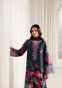 Naqsh Zyrah Fall Winter'25 ZINC - 00182