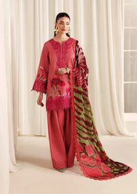 Naqsh Zyrah Fall Winter'25 PEACHY PINK - 00180