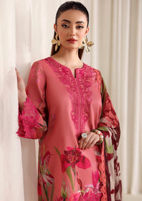 Naqsh Zyrah Fall Winter'25 PEACHY PINK - 00180