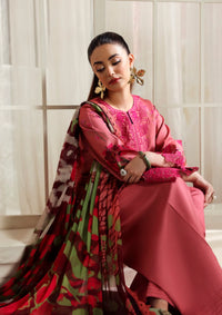 Naqsh Zyrah Fall Winter'25 PEACHY PINK - 00180