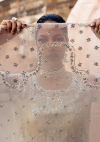 mohsin-saeed-fabrics-designer-daily-wear-formal-and-wedding-suits-within-budget-This-product-is-from-sardinia-chiffons-edit25-d-06-zohra-is-available-on-Mohsin-saeed-fabrics-website.