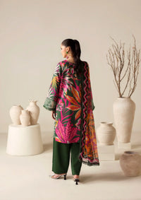 Naqsh Zyrah Fall Winter'25 DARK GREEN- 00185