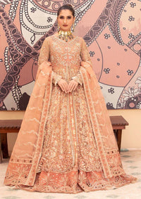 Diara Couture Tehzeeb'25 RADIANT VOWS - PNMT-01-07