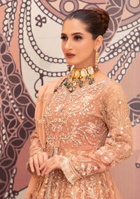 Diara Couture Tehzeeb'25 RADIANT VOWS - PNMT-01-07