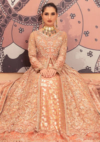 Diara Couture Tehzeeb'25 RADIANT VOWS - PNMT-01-07