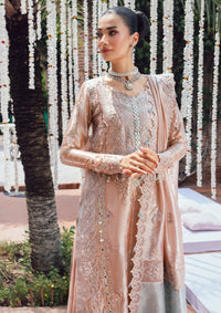 mohsin-saeed-fabrics-designer-daily-wear-formal-and-wedding-suits-within-budget-This-product-is-from-rang-rasiya-wedding-formals25-d-06-nayab-is-available-on-Mohsin-saeed-fabrics-website.