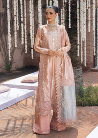 mohsin-saeed-fabrics-designer-daily-wear-formal-and-wedding-suits-within-budget-This-product-is-from-rang-rasiya-wedding-formals25-d-06-nayab-is-available-on-Mohsin-saeed-fabrics-website.