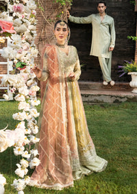 mohsin-saeed-fabrics-designer-daily-wear-formal-and-wedding-suits-within-budget-This-product-is-from-rang-rasiya-wedding-formals25-d-01-amil-is-available-on-Mohsin-saeed-fabrics-website.