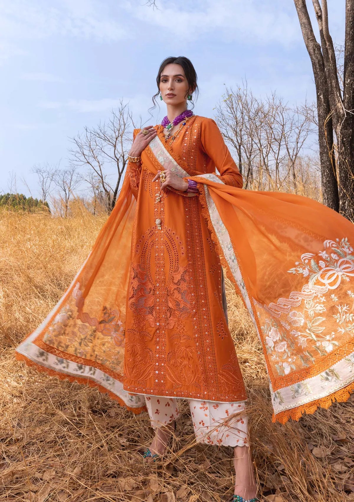 mohsin-saeed-fabrics-is-selling-online-and-in stores-Luxury-daily-wear-wedding-wear-formal-wear-in-budgeted-price-This-product-is-from-saira-shakira-lawn25-shams-b-is-available-on-Mohsin-saeed-fabrics-website.