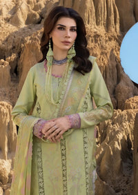 mohsin-saeed-fabrics-affordable-luxury-outfits-for-daily-formal-and-wedding-wear-This-product-is-from-rang-rasiya-premium-eid-edit25-d-10-rania-is-available-on-Mohsin-saeed-fabrics-website.