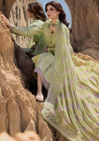 mohsin-saeed-fabrics-affordable-luxury-outfits-for-daily-formal-and-wedding-wear-This-product-is-from-rang-rasiya-premium-eid-edit25-d-10-rania-is-available-on-Mohsin-saeed-fabrics-website.