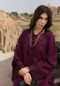 mohsin-saeed-fabrics-affordable-luxury-outfits-for-daily-formal-and-wedding-wear-This-product-is-from-rang-rasiya-premium-eid-edit25-d-09-amyra-is-available-on-Mohsin-saeed-fabrics-website.