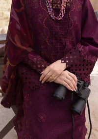 mohsin-saeed-fabrics-affordable-luxury-outfits-for-daily-formal-and-wedding-wear-This-product-is-from-rang-rasiya-premium-eid-edit25-d-09-amyra-is-available-on-Mohsin-saeed-fabrics-website.