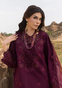 mohsin-saeed-fabrics-affordable-luxury-outfits-for-daily-formal-and-wedding-wear-This-product-is-from-rang-rasiya-premium-eid-edit25-d-09-amyra-is-available-on-Mohsin-saeed-fabrics-website.
