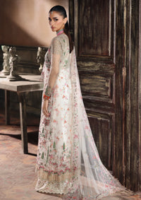 Rajbari Sage Luxury Formals'25 -Radiance