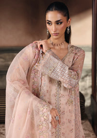 Rajbari Sage Luxury Formals'25 -Amara