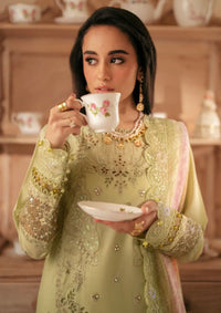 Nureh Maya Embroidered Lawn'24 NS-143 - Mohsin Saeed Fabrics