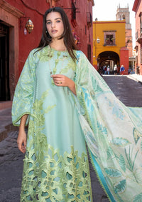 Mushq Odyssey Luxury Lawn'26 D-410 Paloma