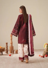 Bin Ilyas Jojo Summer '26 D-81B