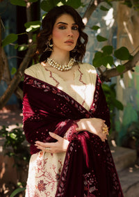 Nureh Exclusive Luxury Velvet Shawl'25 NE-181