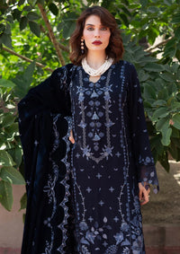 Nureh Exclusive Luxury Velvet Shawl'25 NE-180