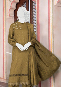 Pakeeza By ABC Chapter-2 Wool'25 D-01