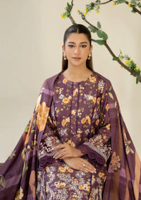 Johra Ardin Winter'25 JW-257