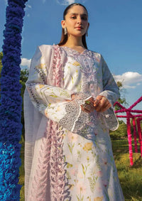 Rang Rasiya Carnation Festive Edit'24 RC- 05 BELLA - Mohsin Saeed Fabrics