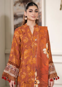 Johra Lisha Winter'25 JW-420