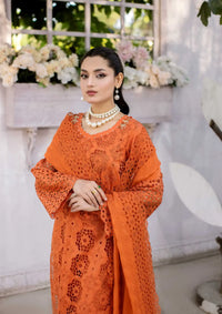 Shahnai By Wania'24 Vol-03 WL-336 - Mohsin Saeed Fabrics