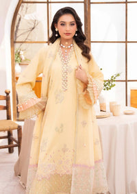 Nayab by Humdum'26 D-02