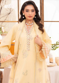 Nayab by Humdum'26 D-02