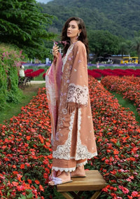 Mushq Secret Garden Hemline'26 D-11A Rosette Reverie