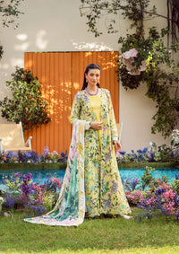 mohsin-saeed-fabrics-designer-daily-wear-formal-and-wedding-suits-within-budget-This-product-is-from-elaf-prints-lawn25-vol-2-eps-7a-daisy-fields-is-available-on-Mohsin-saeed-fabrics-website.