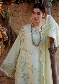 Zaha Meili Lawn'26 ZL-14B TAO ROU