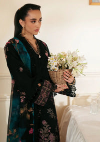 Nureh Maya Embroidered Lawn'24 NS-146 - Mohsin Saeed Fabrics