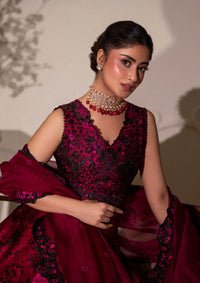 Faiza Saqlain Rua Wedding Festive’25 -Havin