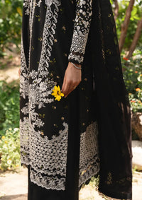 Ayzel Whisper Emb Lawn'26 -1235 NIGHTVEIL