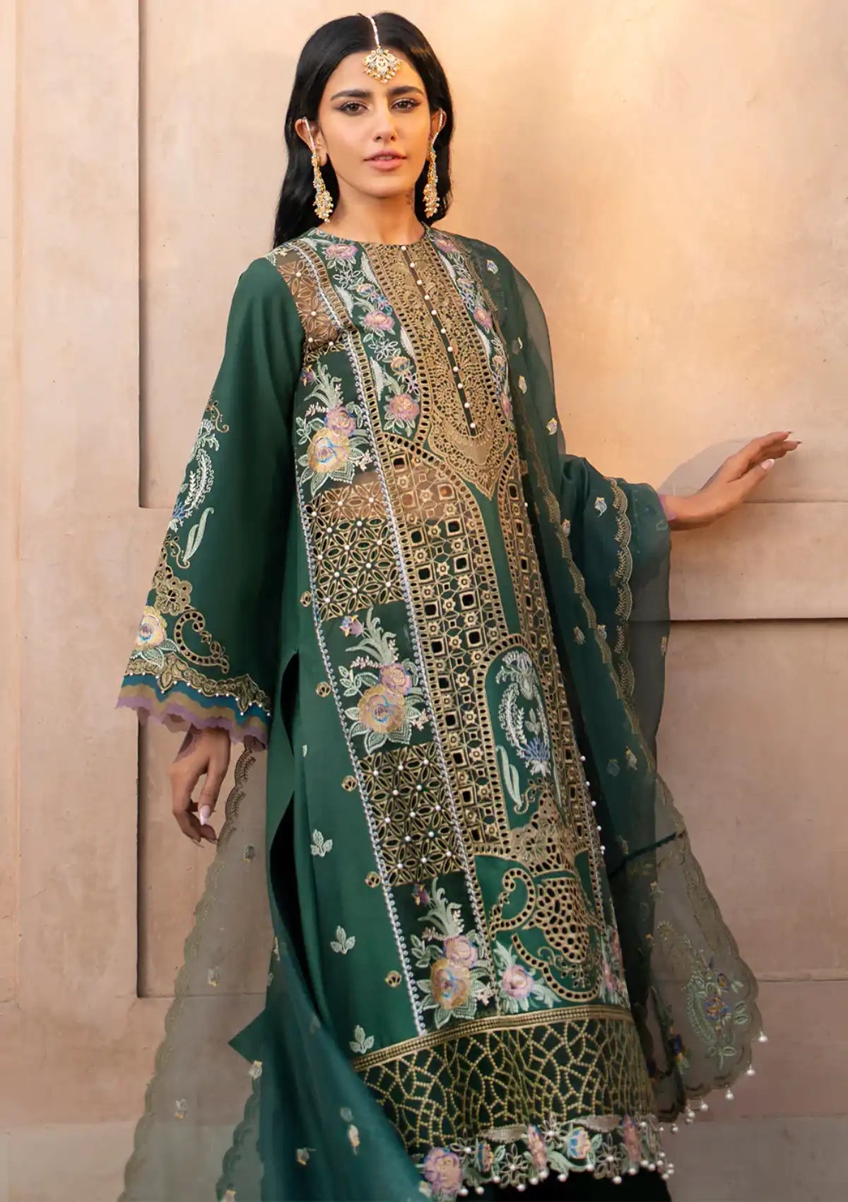Bin Ilyas Dilbaro Festive Lawn'24 D-407A
