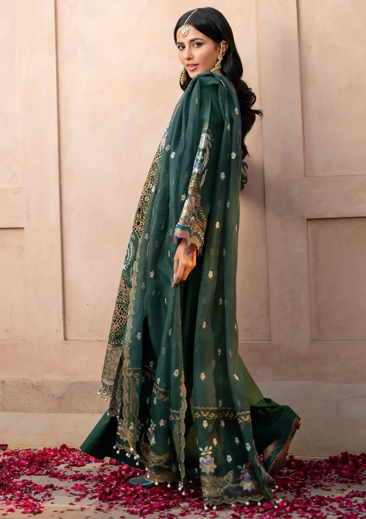 Bin Ilyas Dilbaro Festive Lawn'24 D-407A