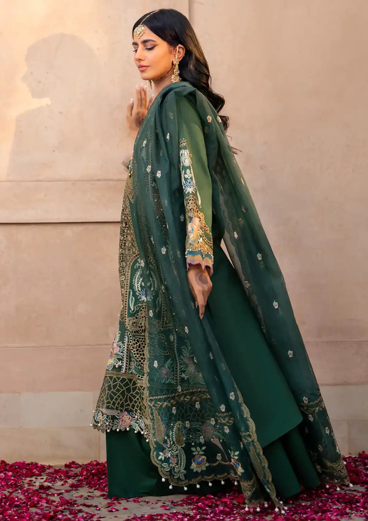 Bin Ilyas Dilbaro Festive Lawn'24 D-407A