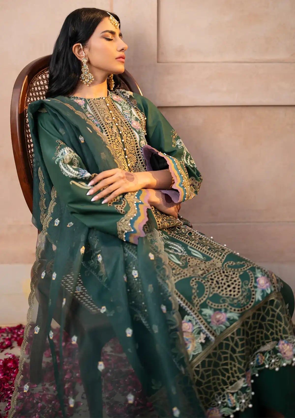 Bin Ilyas Dilbaro Festive Lawn'24 D-407A