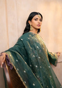Bin Ilyas Dilbaro Festive Lawn'24 D-407A