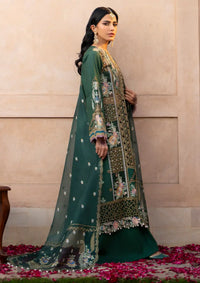 Bin Ilyas Dilbaro Festive Lawn'24 D-407A